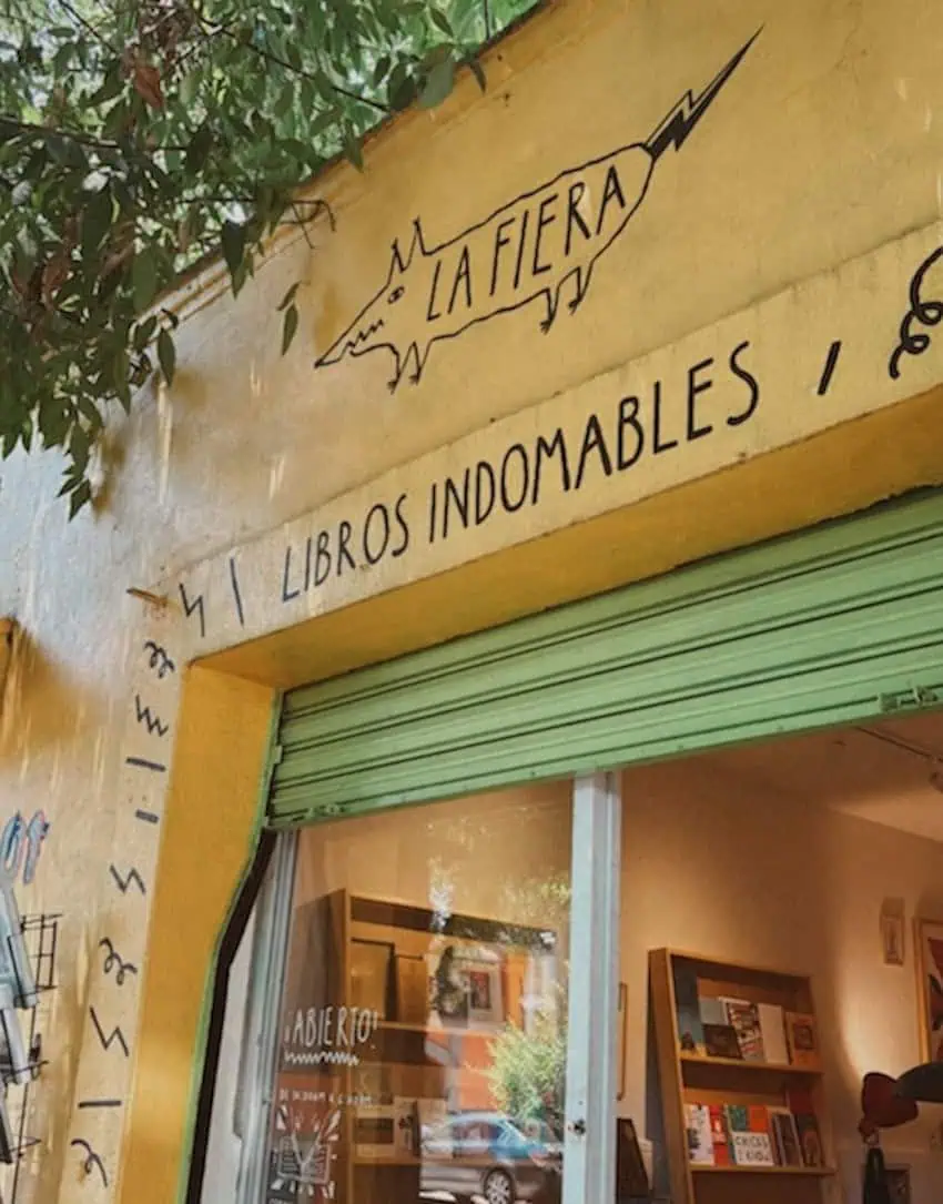 La Fiera bookstore, Coyoacán