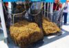 sargassum being collected on the high seas