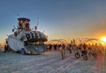 Axolotl burning man