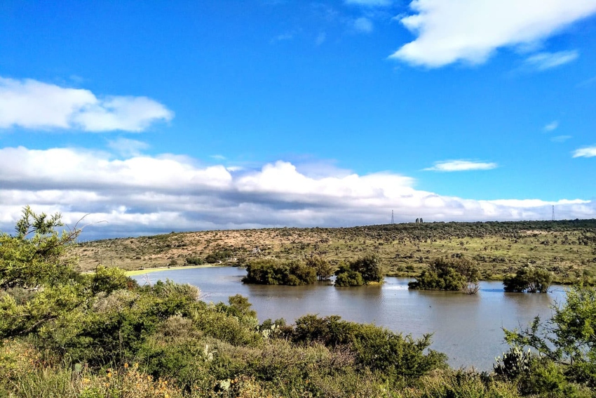 El Charco del Ingenio