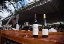 Wine bottles and a fresh pour of red wine sitting on a bar