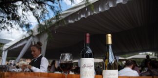 Wine bottles and a fresh pour of red wine sitting on a bar