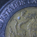 a tiny snail native to Coahuila