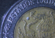 a tiny snail native to Coahuila