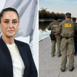 Sheinbaum vs. DEA