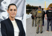 Sheinbaum vs. DEA