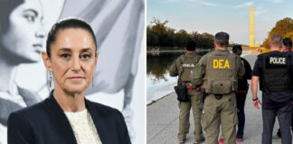 Sheinbaum vs. DEA