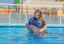 A dolphin and it's trainer in a Los Cabos dolphinarium