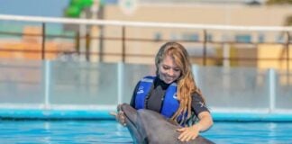 A dolphin and it's trainer in a Los Cabos dolphinarium