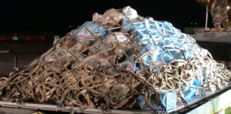 Drug bust on boat in French Polynesia