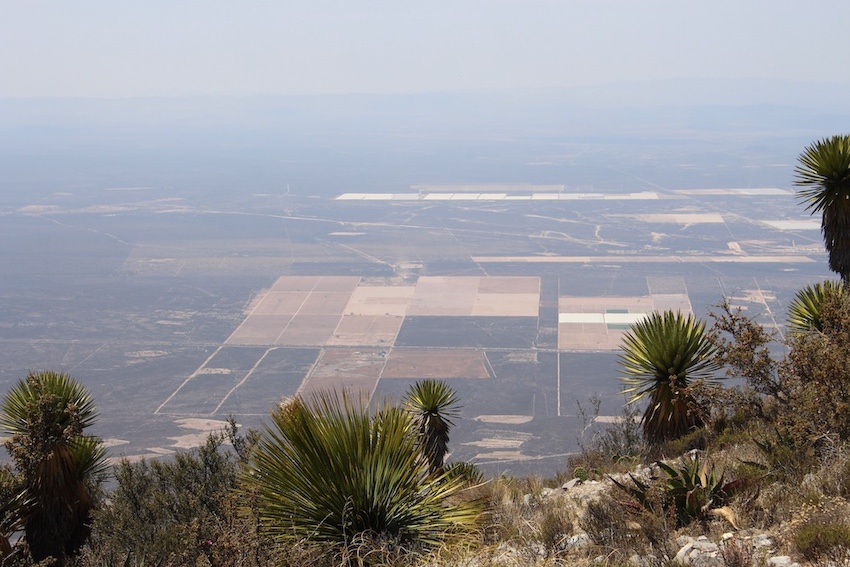 Wirikuta land