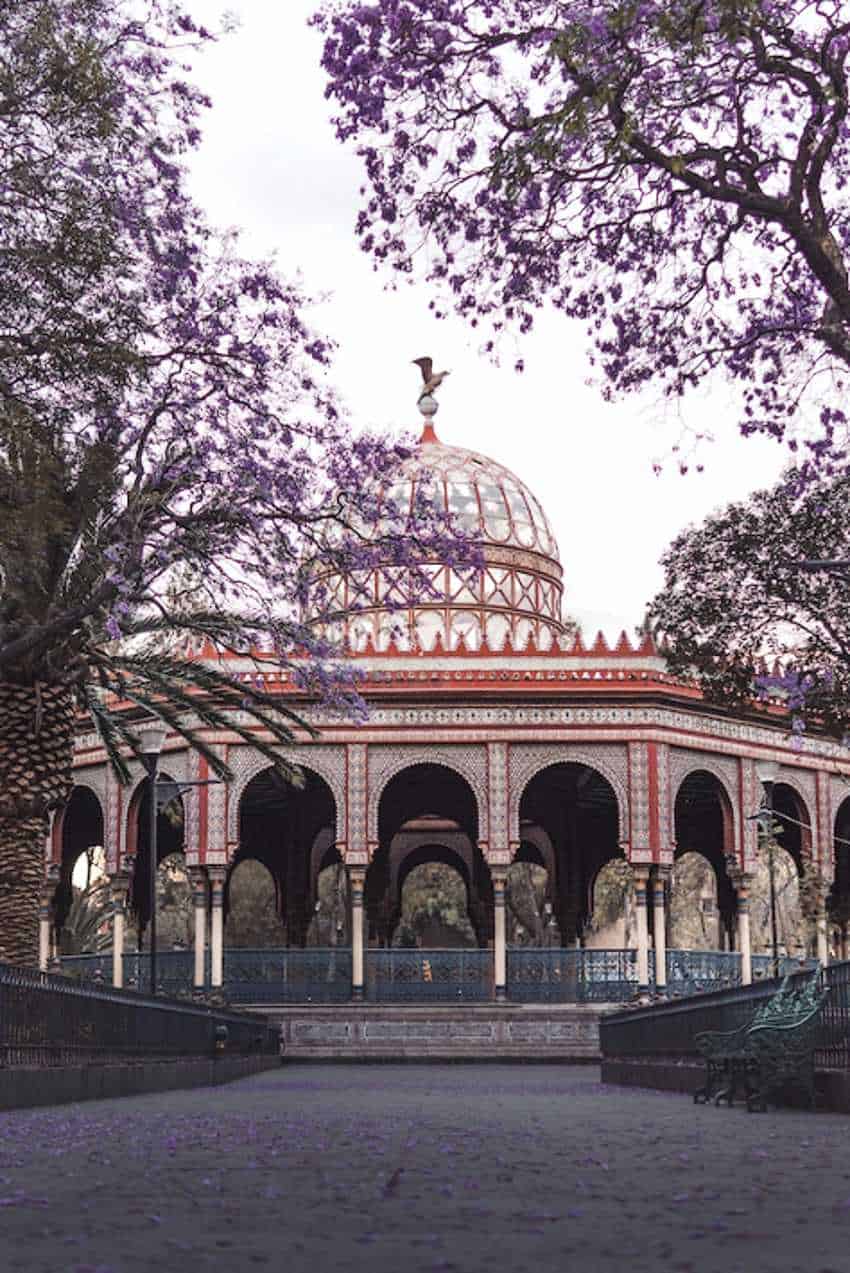 The ornate Kiosco Morisco in Mexico City. The round Moorish/Mujedar-style outdoor kiosk has a domed roof and intricate arches. It's inside a park and framed by the purple flowers of jacaranda trees in bloom.