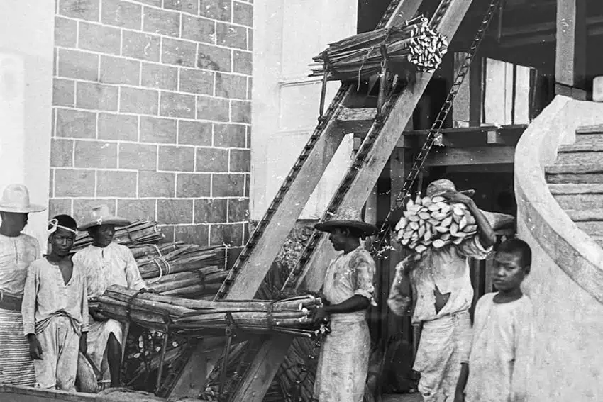 Black and white photo of a group of men and boys working in a henequen processing factory, possibly in Yucatán. They are wearing simple work clothes and hats, and are handling large bundles of dried henequen. They are shown around a conveyor belt, with one man carrying a bundle on his shoulder, and others loading bundles onto the machine. The background shows a brick wall of the factory building.