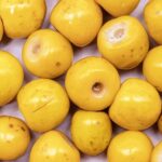 Nanche or nance fruit