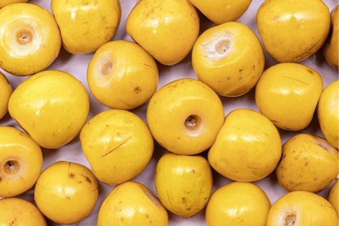 Nanche or nance fruit