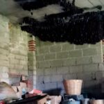 bats clustered on the ceiling