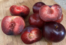 A pile of chopped and seeded plums
