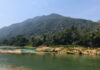river in jungle