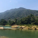 river in jungle