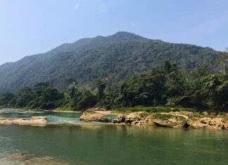river in jungle