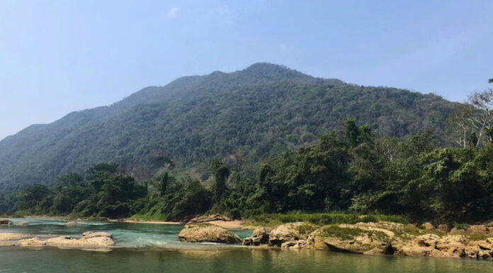 river in jungle