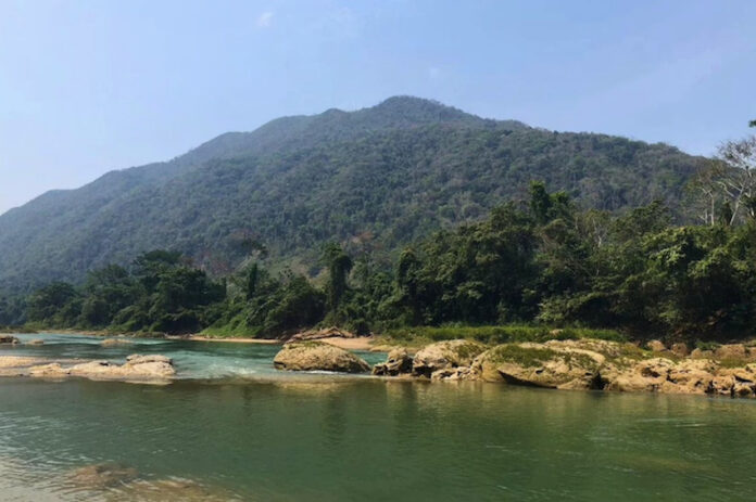 river in jungle