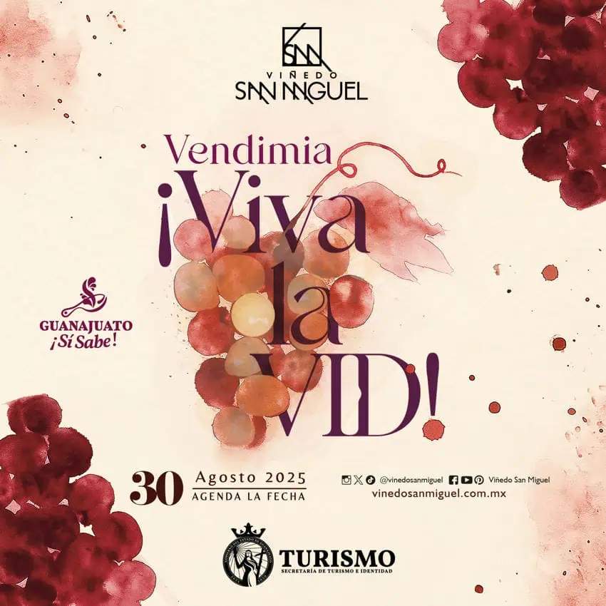 Promotional graphic for the "Vendimia ¡Viva la VID!" grape harvest festival at Viñedo San Miguel winery in Guanajuato, Mexico, scheduled for August 30, 2025. The poster features watercolor illustrations of grapes and includes the logos for Guanajuato tourism and Viñedo San Miguel.