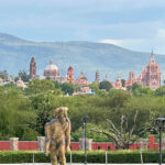 The San Miguel de Allende skyline visible behind a green park full of trees