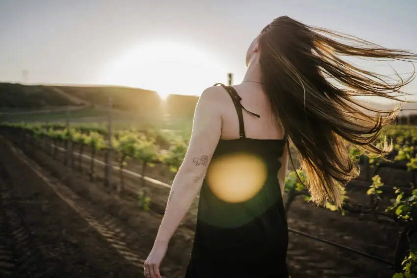 Valle de Guadalupe