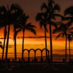 The Puerto Vallarta Malecon