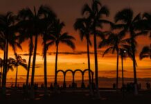 The Puerto Vallarta Malecon