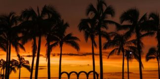 The Puerto Vallarta Malecon