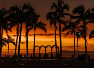 The Puerto Vallarta Malecon