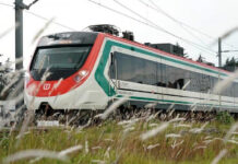 A red, white and green train speeds through a field.