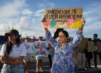 gulf of mexico protest against Veracruz port construction