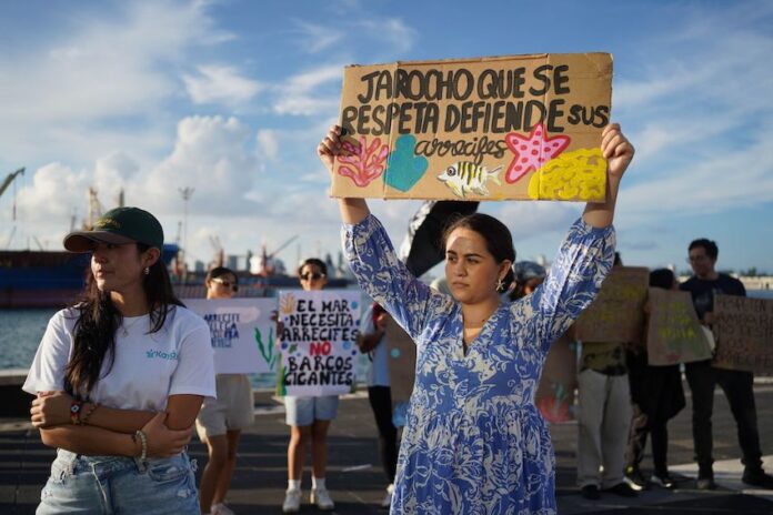 gulf of mexico protest against Veracruz port construction