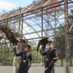 Two cadets from the Heroic Military College pose alongside two golden eagles, which are cared for by Mexico's military.