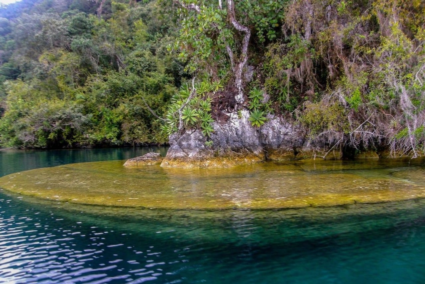 Laguna Miramar in Chiapas