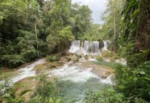 Cascadas Las Golondrinas in the Lacandón Jungle