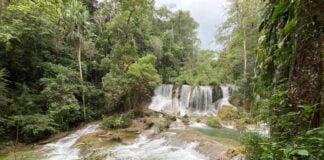 Cascadas Las Golondrinas in the Lacandón Jungle