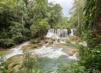 Cascadas Las Golondrinas in the Lacandón Jungle
