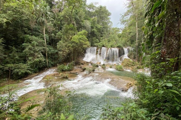 Cascadas Las Golondrinas in the Lacandón Jungle