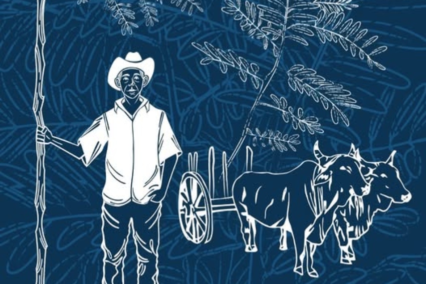 Indigo Festival successful Oaxaca