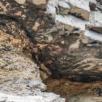rock art