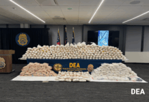 confiscated drugs