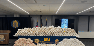 confiscated drugs