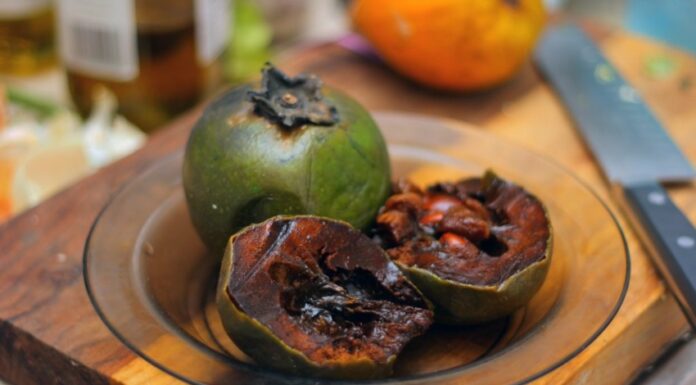 Black Zapotec fruit from Mexico
