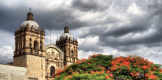 Oaxaca City