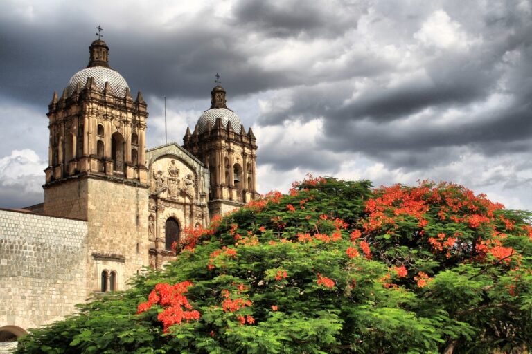 What's on in Oaxaca in October? - Mexico News Daily