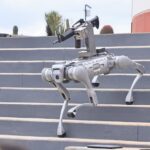 mechanical robot "dog" with rifle in Zacatecas, Mexico